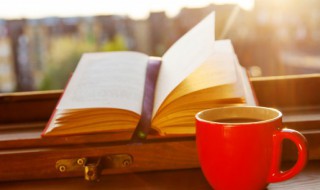 也的组词 也的组词有什么