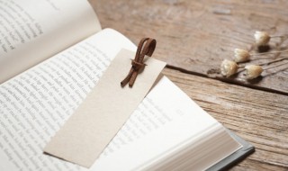 仔的拼音组词 仔的拼音组词有什么