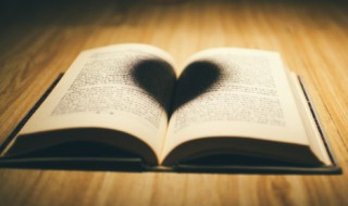 霹组词 霹组词有什么