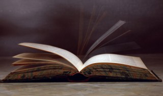 禹组词 禹组词有什么