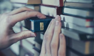 伺组词 伺组词有什么