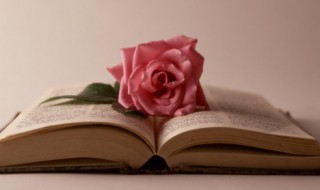 购组词 购组词有什么