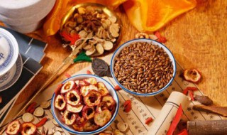 温补脾肾之阳的中药 中医养生疗理知识