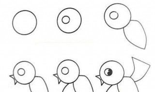 画鸟的方法 可参考以下步骤