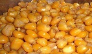 玉米饵料配方 分享一款超级好用的