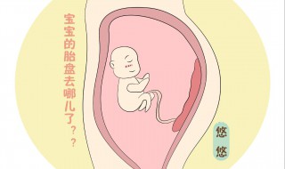 胎盘乳的功效 大家可以了解一下