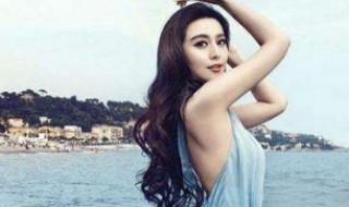 范冰冰简历 范冰冰是哪个院校毕业的？