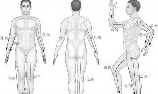 阴包穴的位置和功效 学会按摩这个穴位