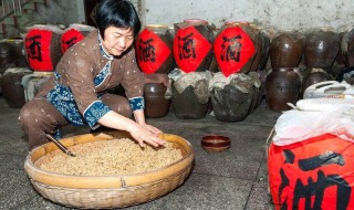 客家娘酒的制作方法 从选料到每一道工序步骤