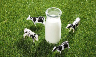 女人喝什么牛奶补气血,吃什么补气血