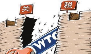 关税是谁交 进口关税谁来缴纳