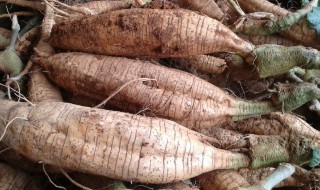 葛根为什么致癌 葛根能多吃吗