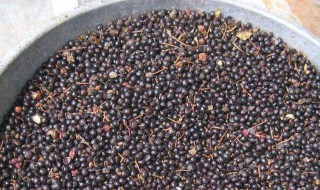 花椒里面的黑籽怎么吃 有什么用