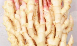 广西泡酸姜的做法 介绍一套简单方法