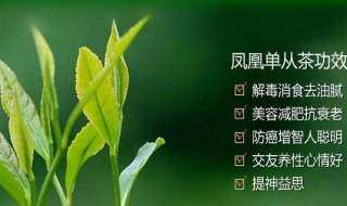 凤凰单枞茶功效 对身体有哪些功效呢？