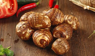 毛芋头什么时候成熟 想吃芋头了