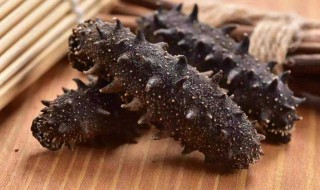 野生海参与人工海参从外表怎么看 如何从外表区分两种类型