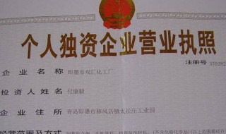 自然人独资有什么风险 什么缺点