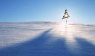 见过最棒的一段话分享 句句真实且戳心