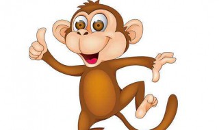 68年属猴女有二婚命吗 68年出生会离婚吗