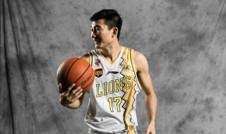 孙铭徽是哪里人 职业篮球运动员的个人简介