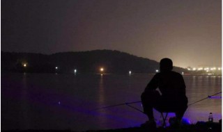 秋天夜钓几点最好 鲤鱼篇