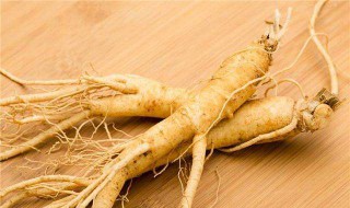 山参和园参有区别 中医中药小知识