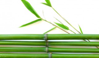 梦见竹竿是什么意思 是好事还是坏事