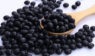 黑豆有几个品种 2种品种