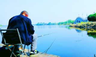 秋季夜钓技巧全攻略 秋季夜钓小窍门