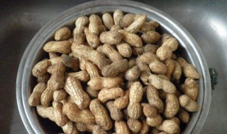 煮新鲜花生的做法 你会爱上这个味道