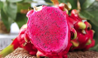 什么病不能吃火龙果 有什么效果？