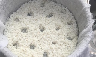 自制米酒的危害 一定要看