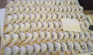 鸡蛋香菜的饺子的做法 简单易学