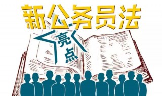 副科是什么级别 来看看公务员法规定吧