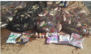 流氓钩是什么钓鱼 黑坑专用