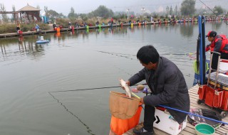 黑坑钓鱼技巧 简单明了