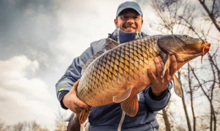 怎样把大鱼拴住而且不会死 其中需要注意什么