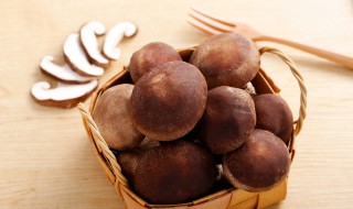 香菇与什么相克 没想到有它