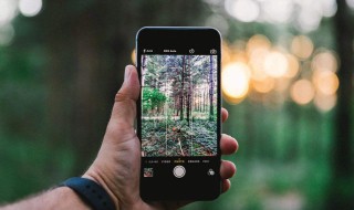 手机的对焦与曝光技巧 7个曝光技巧你要记牢!