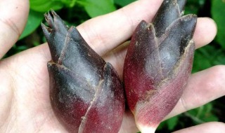 洋合的吃法 可以试试这样做