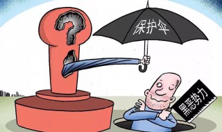 什么叫保护伞 详解解读