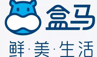 盒马生鲜是阿里的吗 你有体验过吗