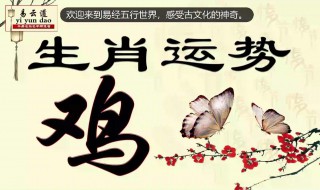 2019年69年鸡的运势 一起来了解吧