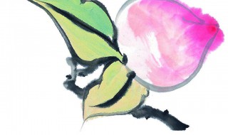 寿桃怎么画 这几步简单好学