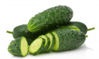 黑油亮黄瓜品种介绍 四大栽培要点需注意