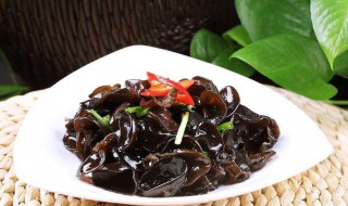 木耳和什么菜搭配好吃 混合之吃法