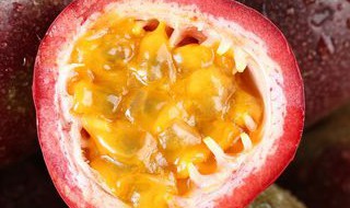 百香果种多久才会长苗 多久挂果