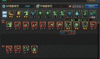 冰洁加点 冰洁加点详解