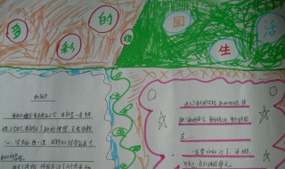 多彩校园手抄报内容 精彩校园